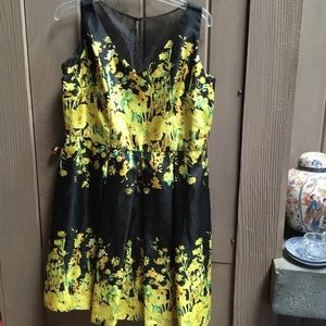 Darling dress- perfect all occasions